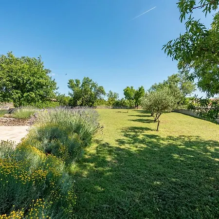 Vila Basil Zadarvillas *