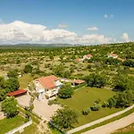 Basil Zadarvillas *