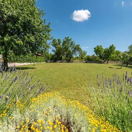 Basil Zadarvillas Benkovac