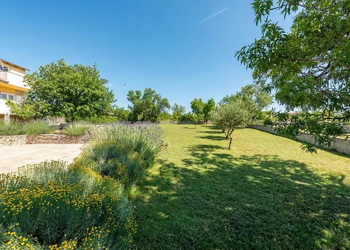 Villa Basil Zadarvillas *