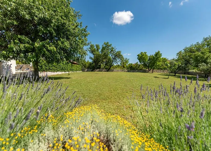 Basil Zadarvillas Benkovac